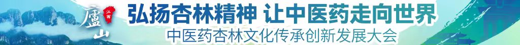 大鸡吧插我逼逼爽死了啊啊啊视频中医药杏林文化传承创新发展大会